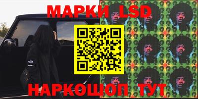 стаф Новодвинск