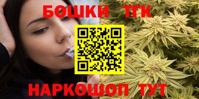 стаф Новодвинск