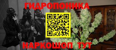 стаф Новодвинск
