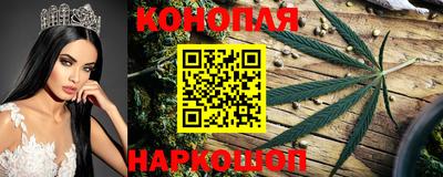 стаф Новодвинск
