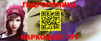 стаф Новодвинск