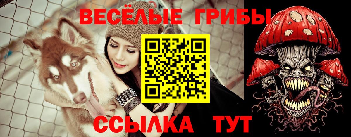 Фурманов  Галлюциногенные грибы Psilocybe  даркнет сайт  Вход с VPN  Псилоцибиновые грибы Psilocybe 